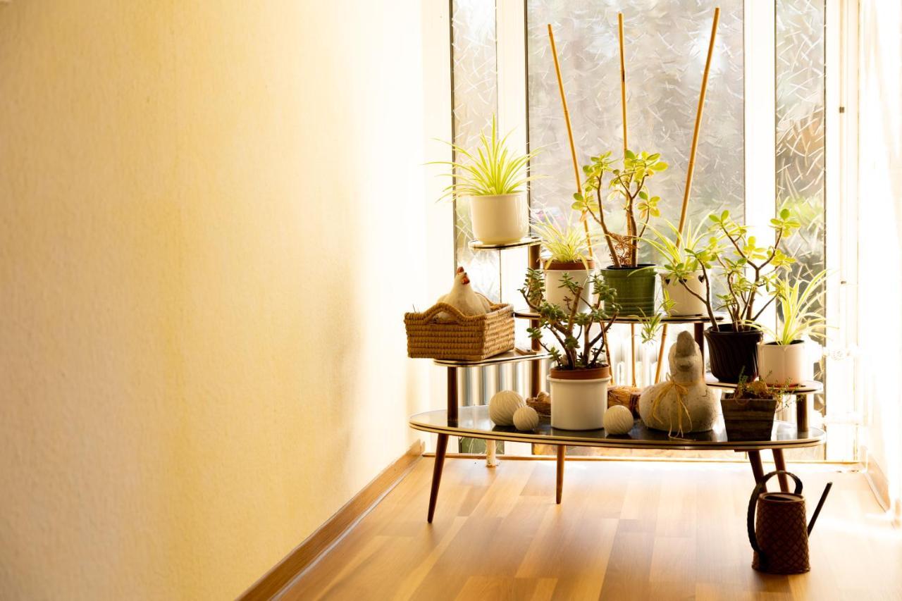 Pension Am Hardausee Suderburg ภายนอก รูปภาพ